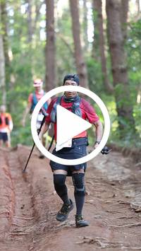 BIB:  <button type="button" onclick="openModal(26569904)" class="btn btn-primary btn-sm float-right" data-toggle="modal" data-target=".modal-high-quality">
                <i class="fa fa-download"></i> Download
                </button>